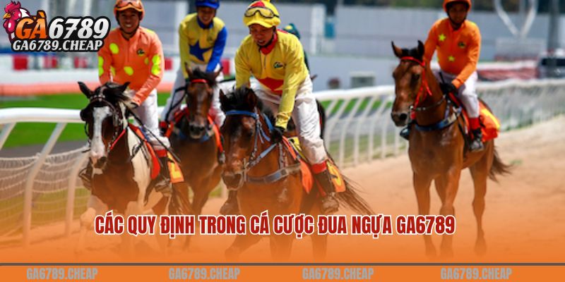 Cá Cược Đua Ngựa GA6789 Hấp Dẫn Nhất 2024 2 Các quy định trong cá cược đua ngựa GA6789