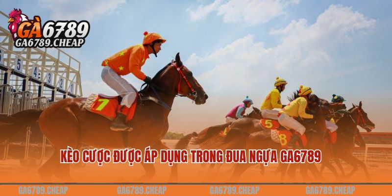 Cá Cược Đua Ngựa GA6789 Hấp Dẫn Nhất 2024 3 Kèo cược được áp dụng trong đua ngựa GA6789