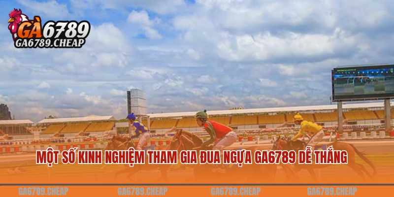 Cá Cược Đua Ngựa GA6789 Hấp Dẫn Nhất 2024 4 Một số kinh nghiệm tham gia đua ngựa GA6789 dễ thắng