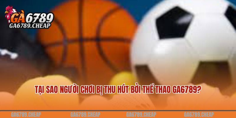 Sôi Động Và Cuồng Nhiệt Cùng Thể Thao GA6789 2 Tại sao người chơi bị thu hút bởi thể thao GA6789?